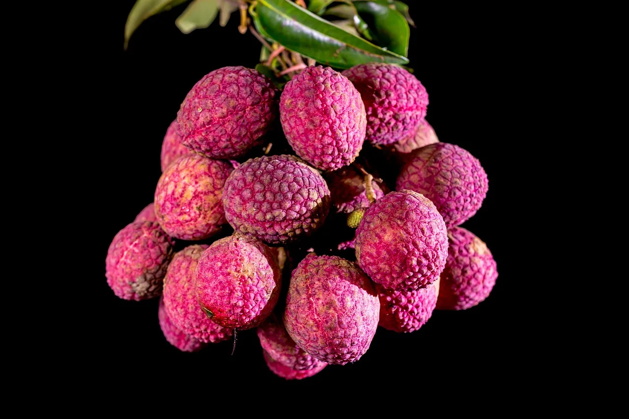 Fruits used to make cheesecake