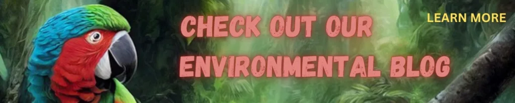 environmental blog