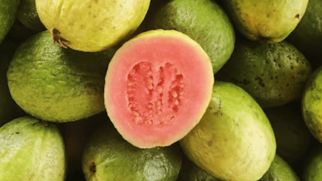 fresh tasty guavas