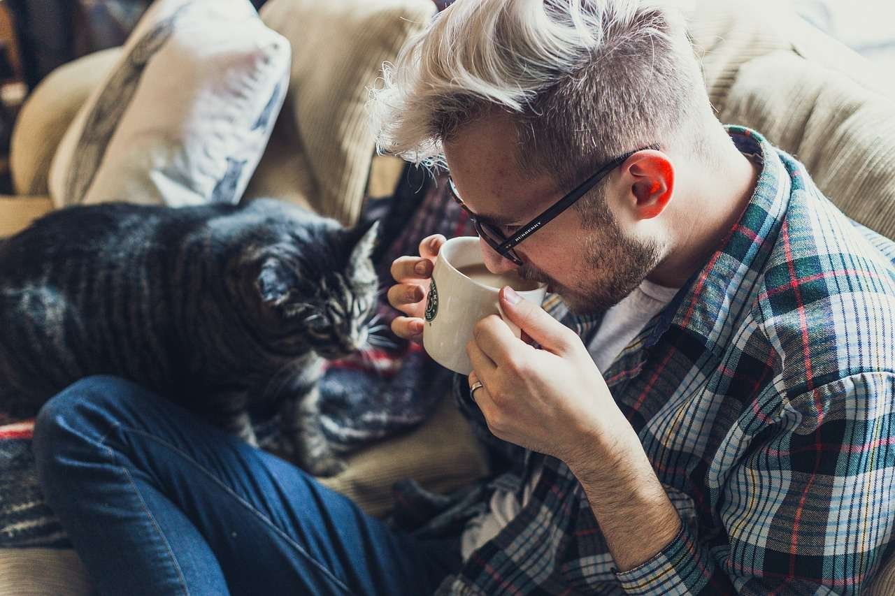 coffee is the most popular drink