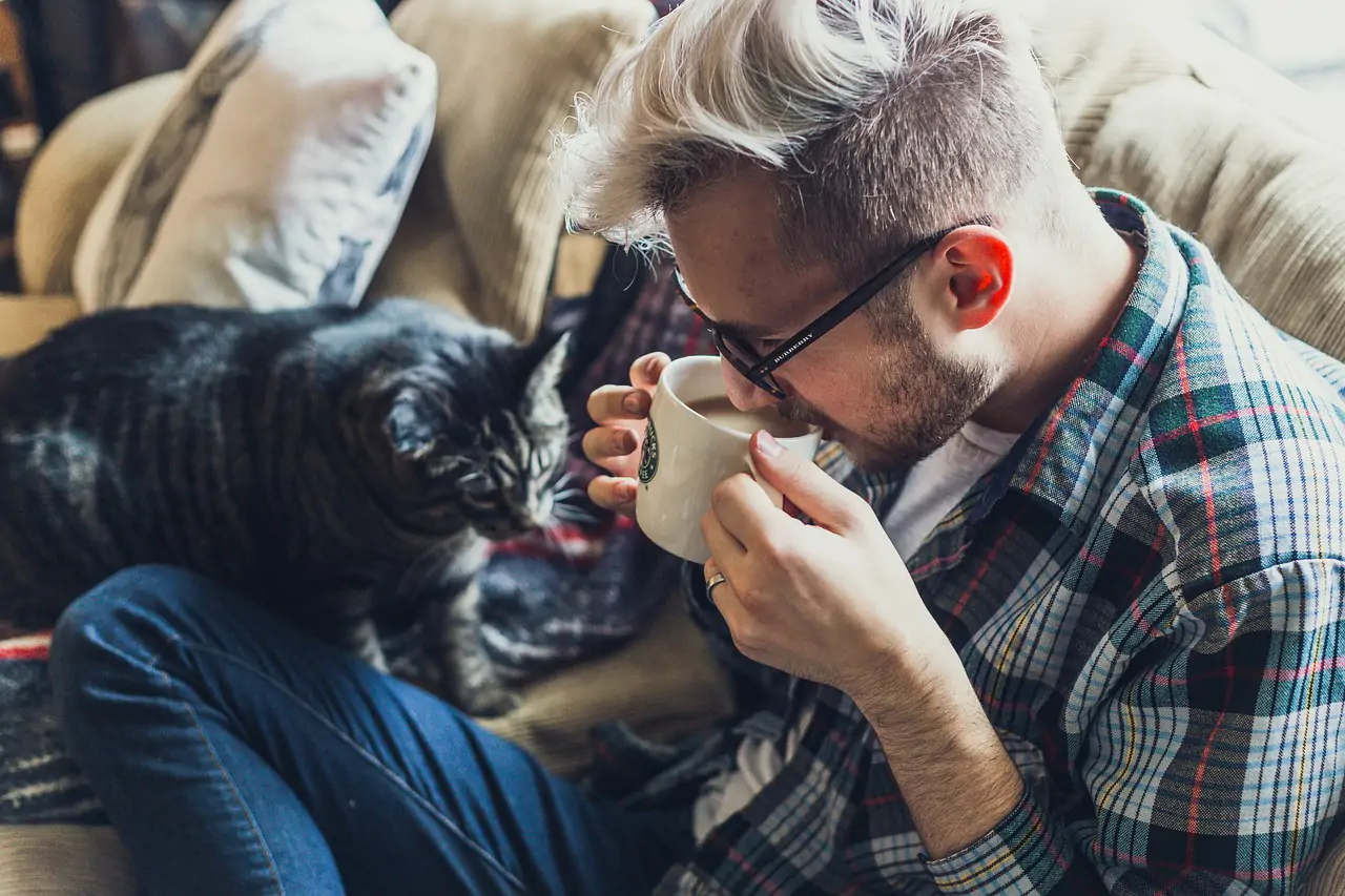 coffee is the most popular drink