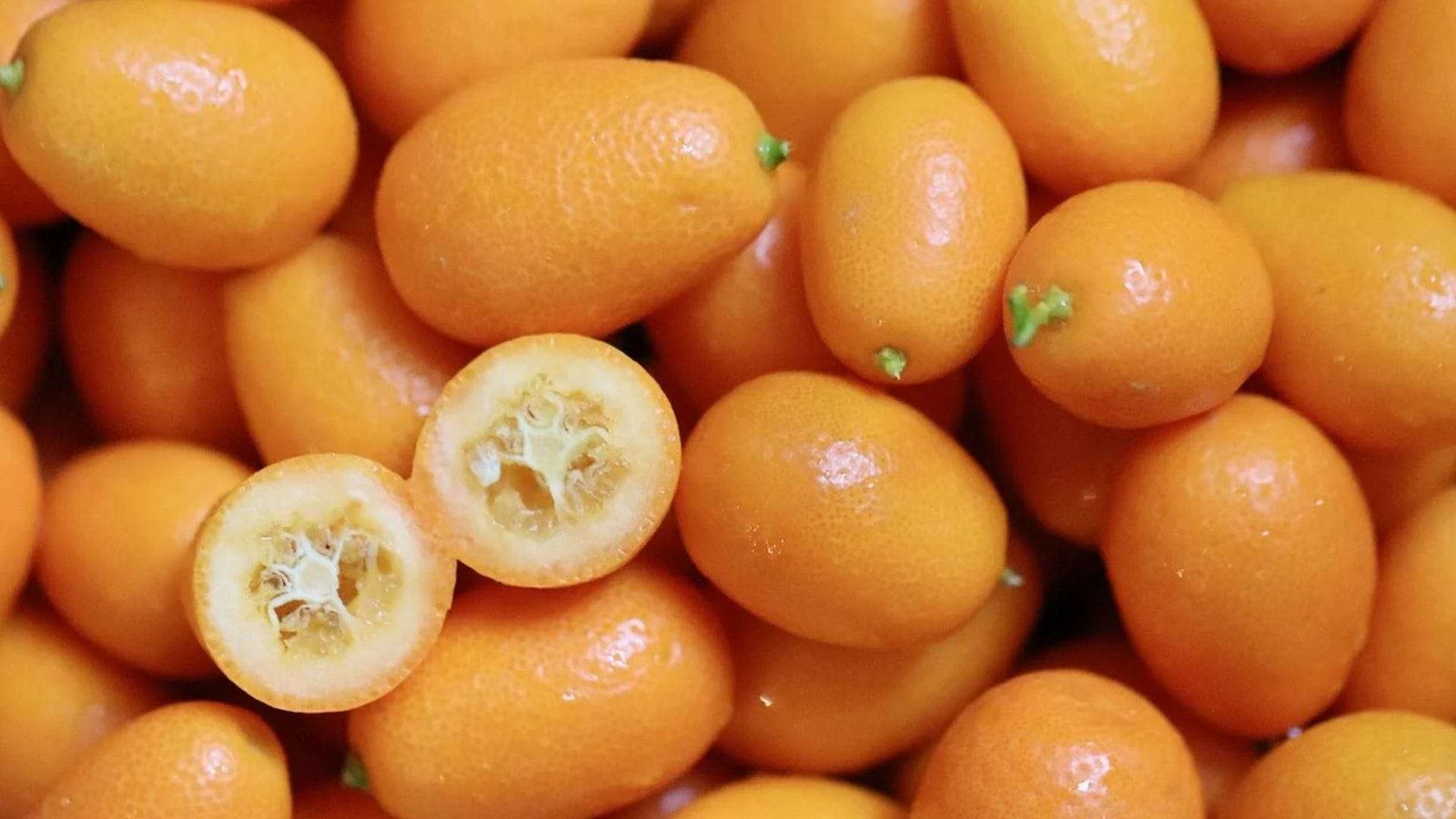 Try A Cumquat Cheesecake Today