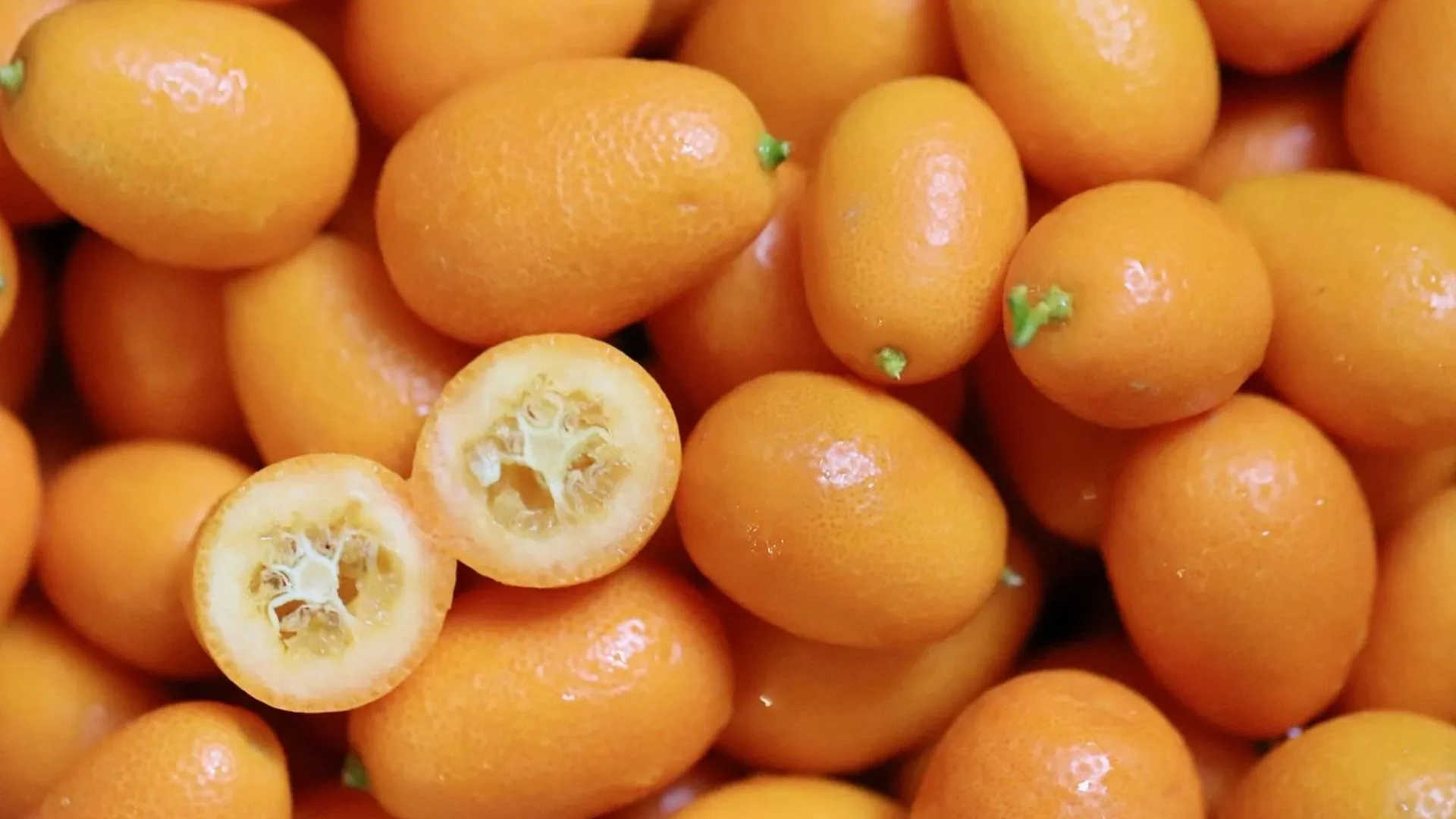 Try A Cumquat Cheesecake Today
